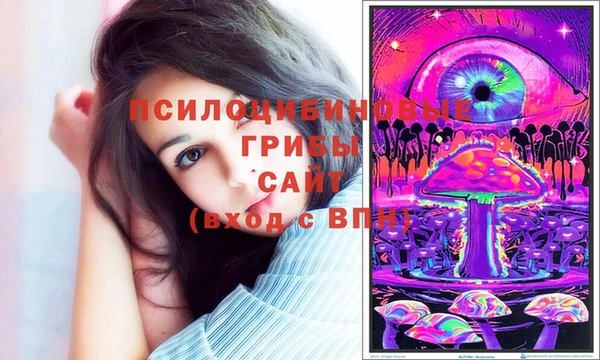 индика Бугульма